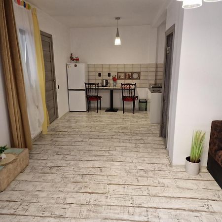 Ullysses Guest House ブラショフ エクステリア 写真