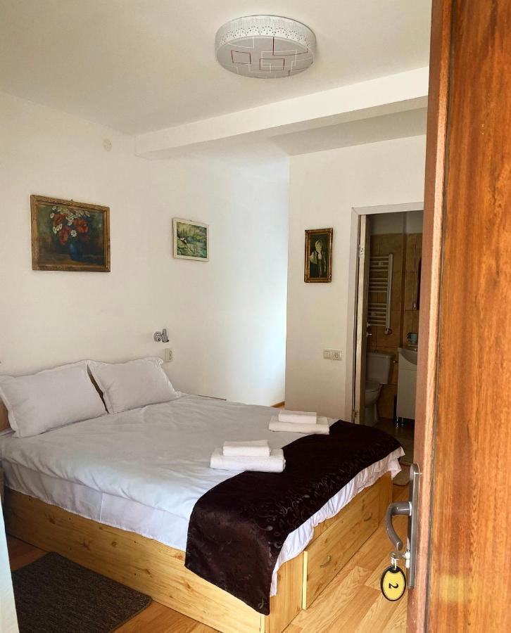 Ullysses Guest House ブラショフ エクステリア 写真