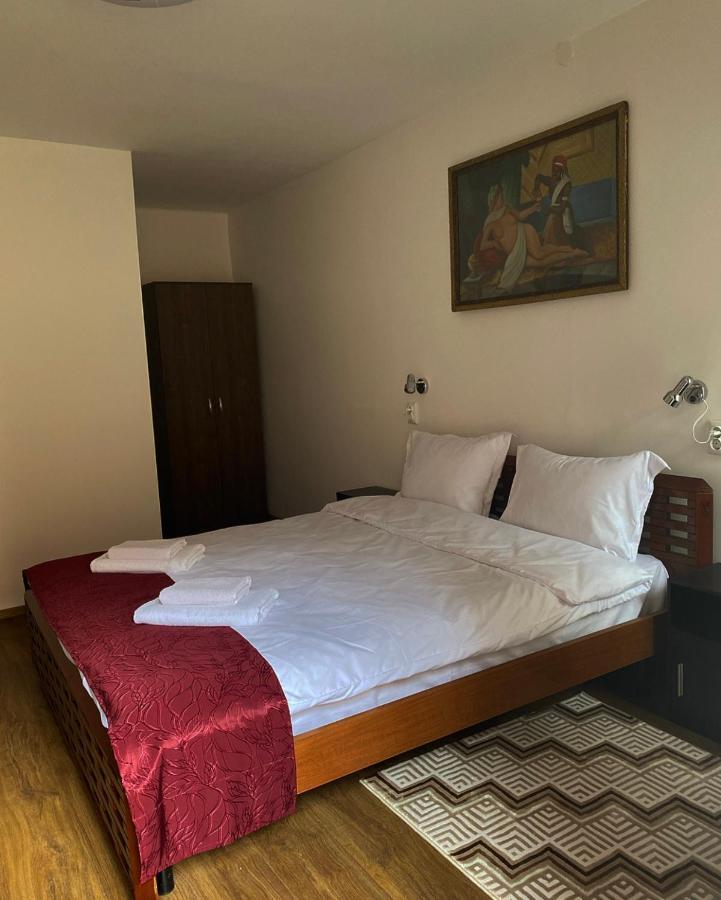 Ullysses Guest House ブラショフ エクステリア 写真