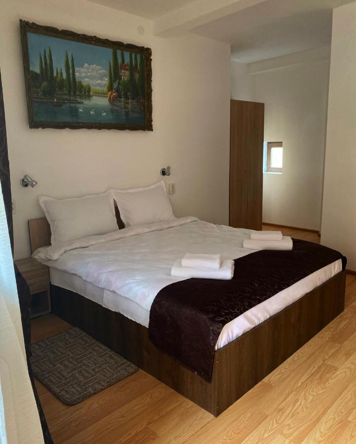 Ullysses Guest House ブラショフ エクステリア 写真